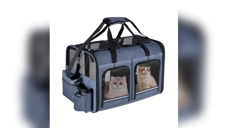 Groxkox Cat Carrier for 2 Cats – Easy Outdoor Travel Solution
